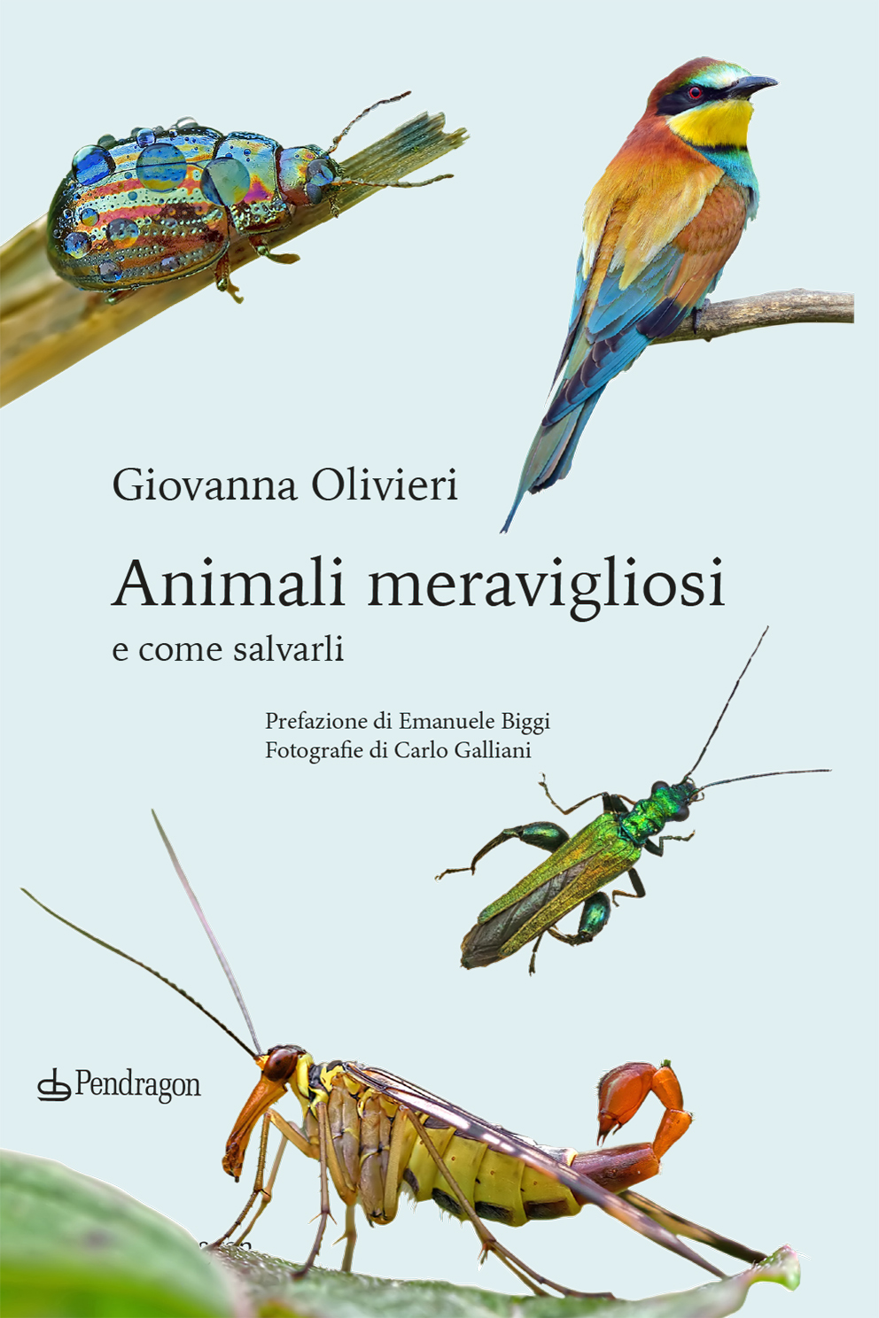 Animali meravigliosi