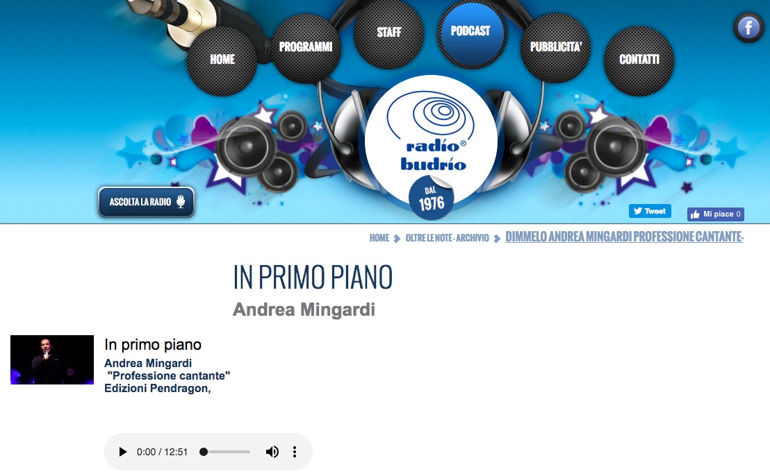 Professione cantante