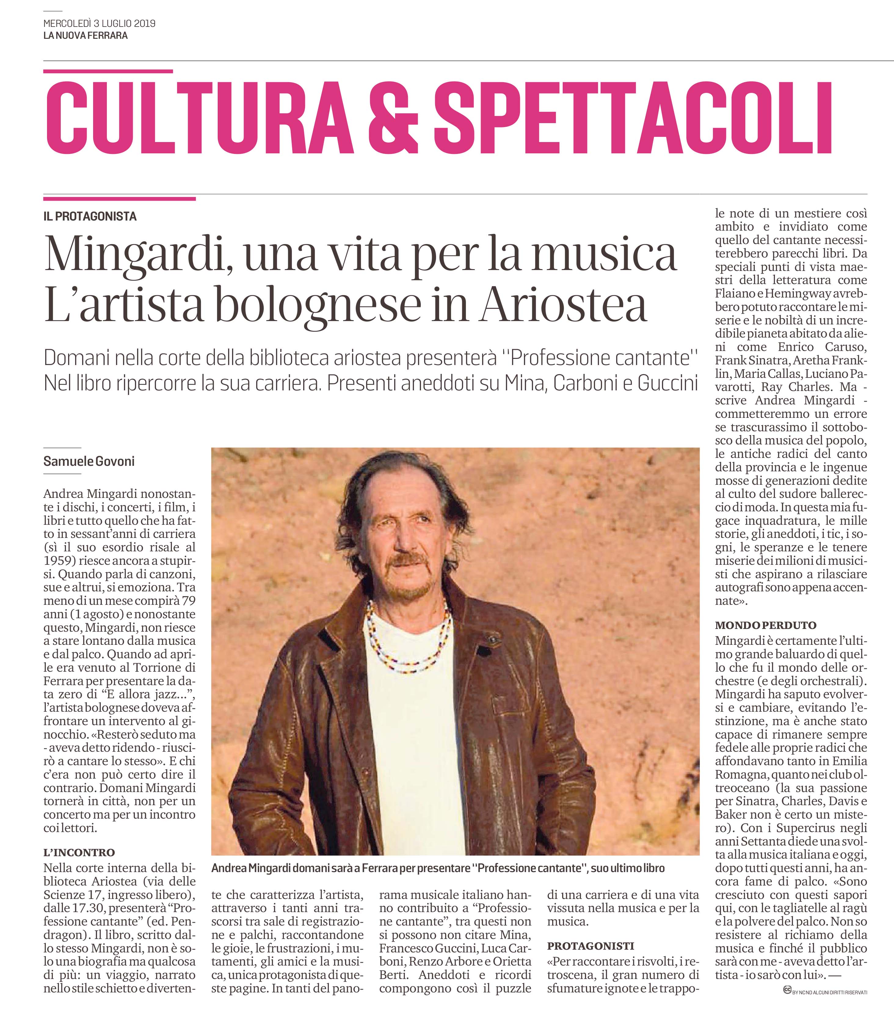 Professione cantante