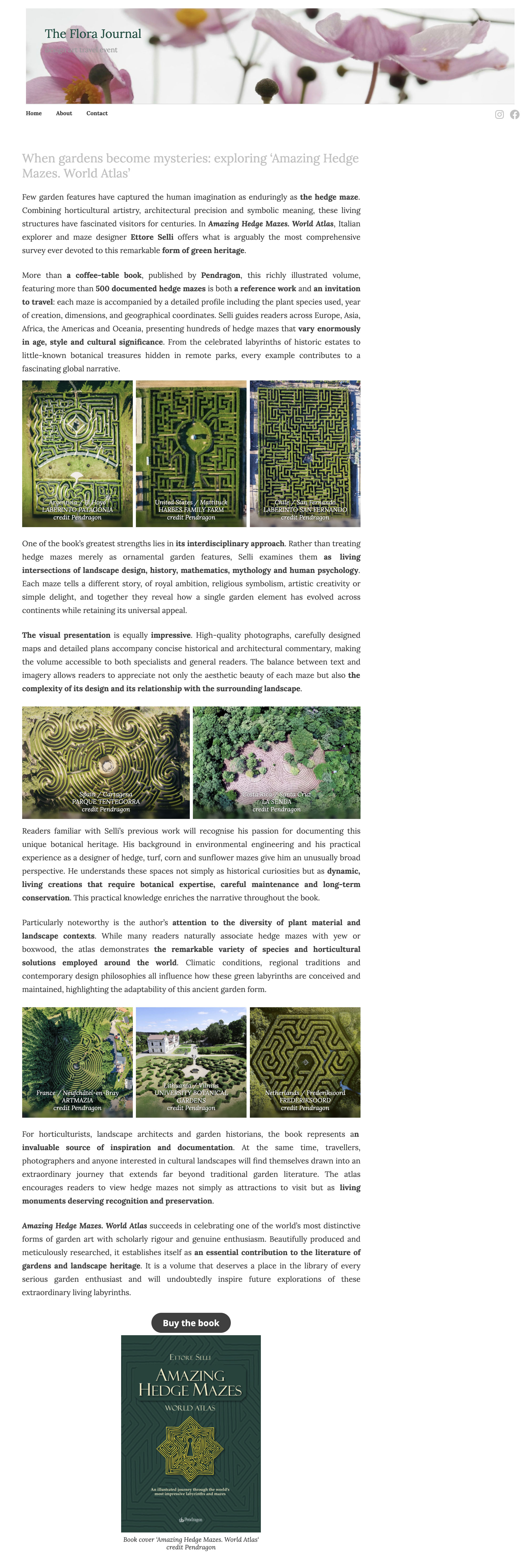 Amazing Hedge Mazes